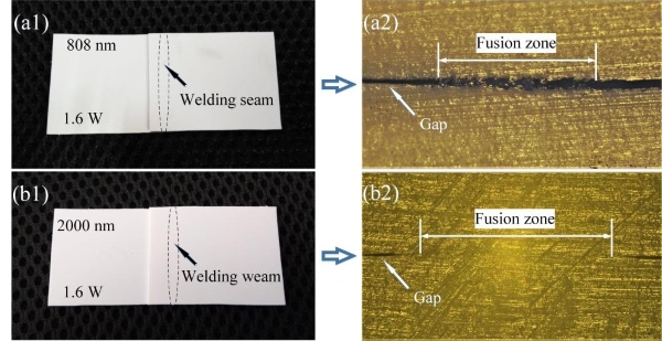 圖片:0.808μm和2μm激光焊接白色PP結(jié)果:(a1,b1)實物圖;(a2,b2)截面切片顯微圖 圖片:0.808μm和2μm激光焊接白色PP結(jié)果:(a1,b1)實物圖;(a2,b2)截面切片顯微圖